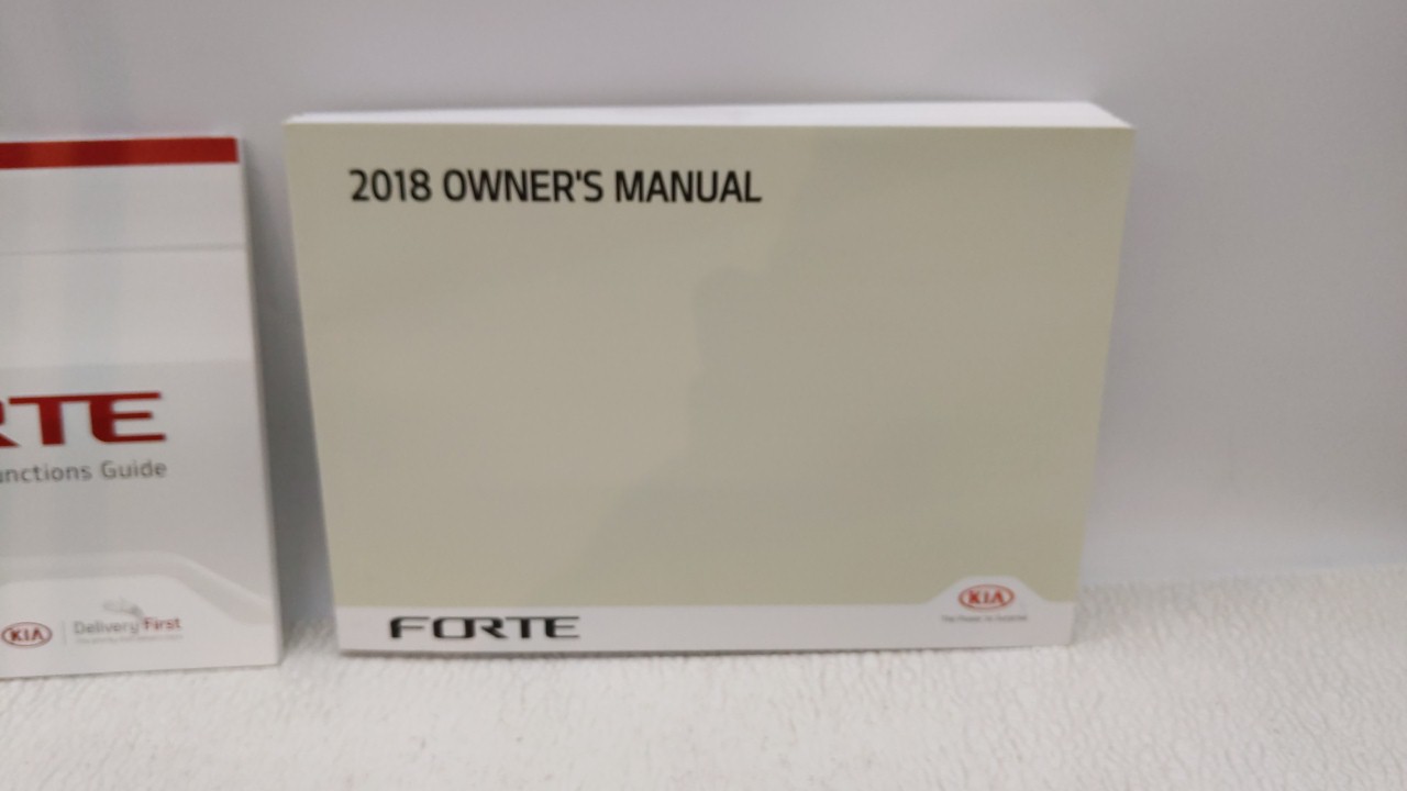Picture of 2018 Kia Forte Owners Manual 144461